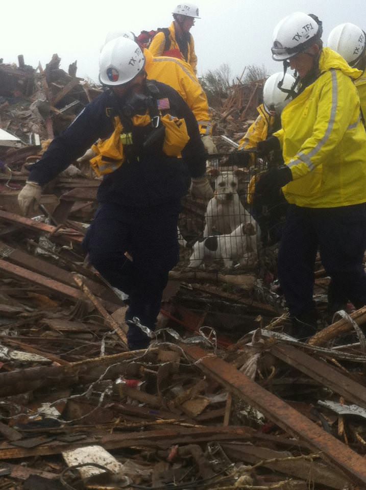 rescuers pull out dog in cage